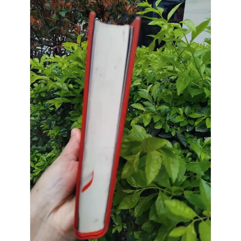 Vết nhơ của người tiểu thuyết của Philip Roth  936592