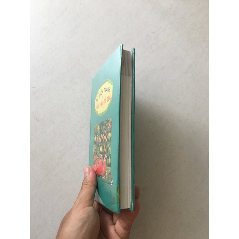 Từ Điển Tranh Về Các Loại Củ, Quả - Lê Quang Long chủ biên 545526