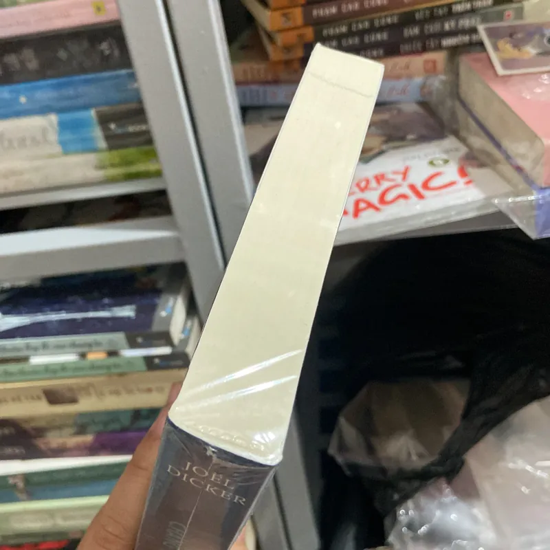 Những chàng trai Baltimore - Joel Dicker ( tiểu thuyết ) 968741