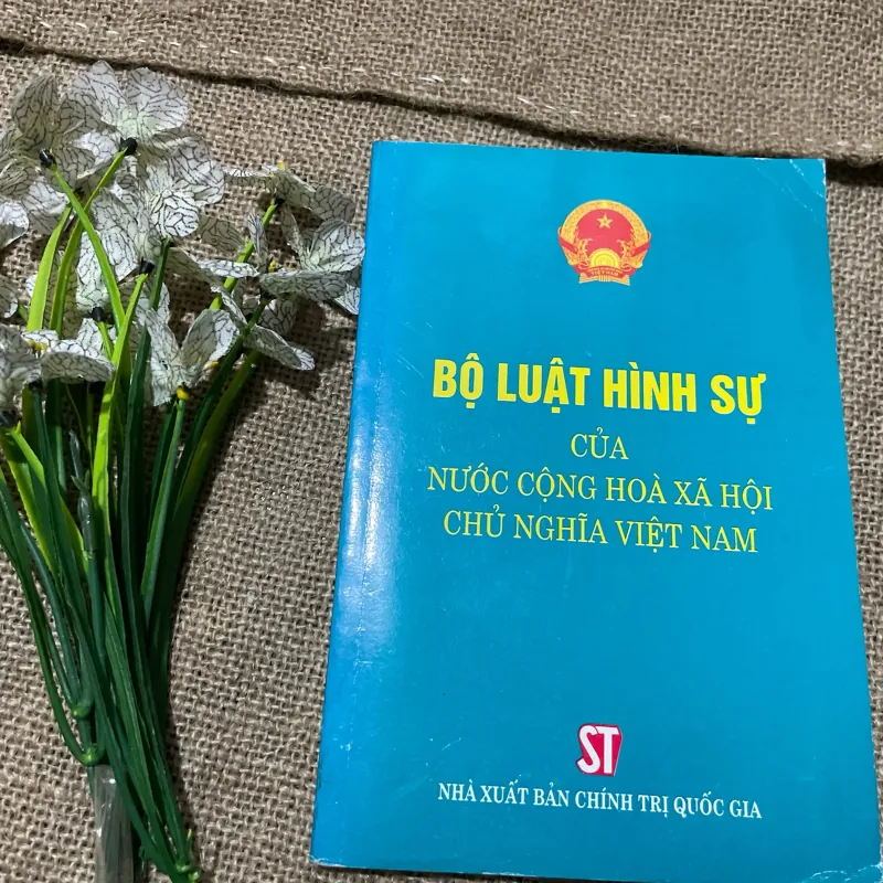 BỘ LUẬT HÌNH SỰ CỦA NƯỚC CỘNG HOÀ XÃ HỘI CHỦ NGHĨA VIỆT NAM 797682
