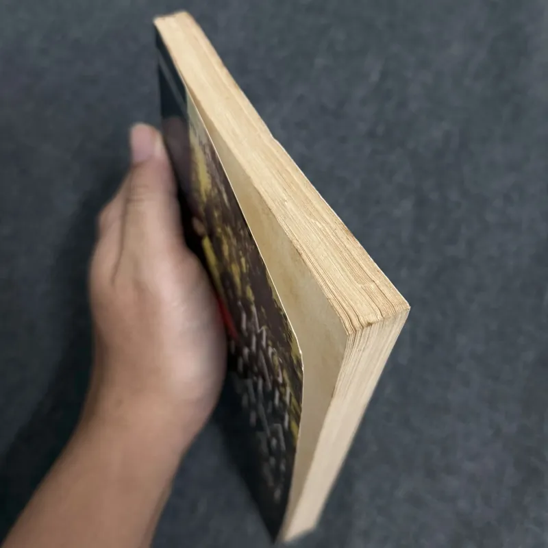 Mối tình chàng nhạc sĩ - Hermann Hesse 1010597