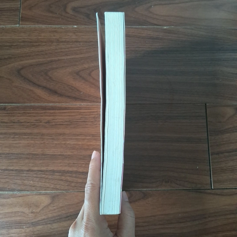 Bất khả kháng lực 508505