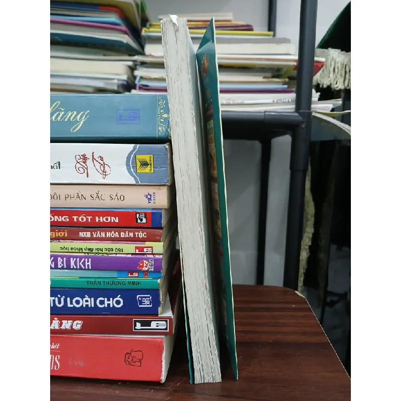 Linh vật cát tường phong thủy – Khánh Linh 576118
