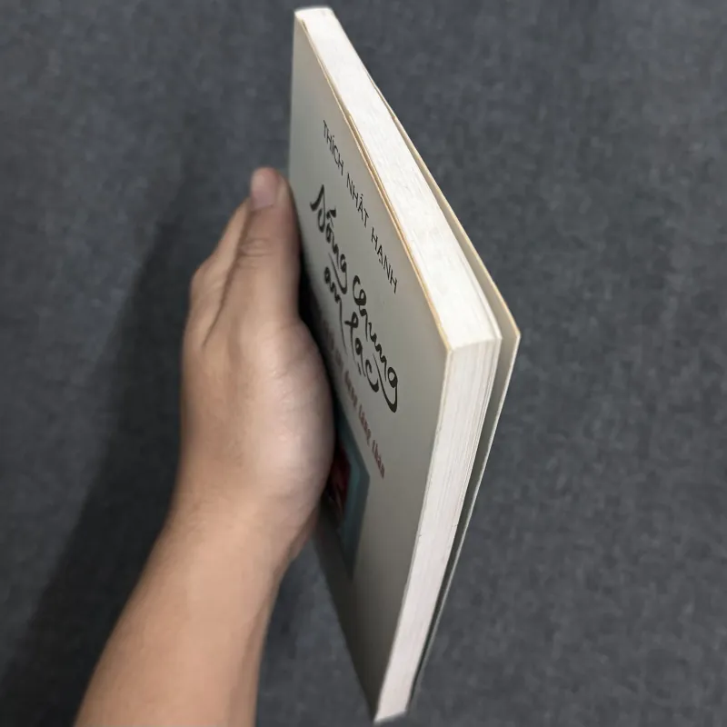 Sống chung an lạc - Thích Nhất Hạnh 925882