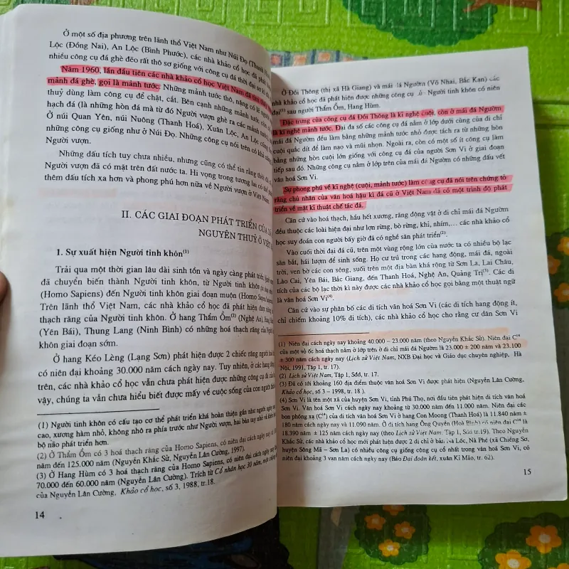 Đại cương Lịch sử Việt Nam - Tập I 1006047