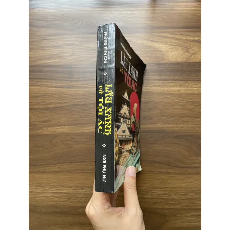 Lầu xanh và tội ác - Phùng Tinh Chí 972703