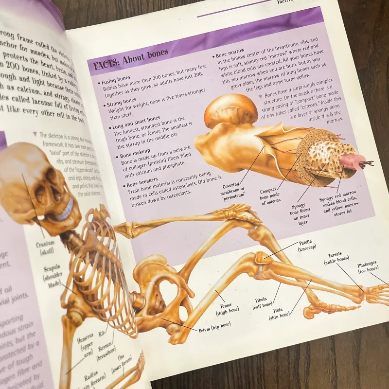 ✨𝑻𝒉𝒆 𝑩𝒊𝒈 𝑩𝒐𝒐𝒌 𝒐𝒇 𝑲𝒏𝒐𝒘𝒍𝒆𝒅𝒈𝒆✨ 697523