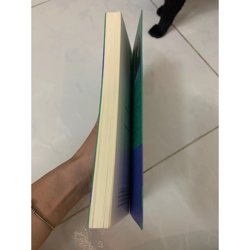 Thế giới tươi đẹp người ở đâu Sally Rooney sách mới 451468