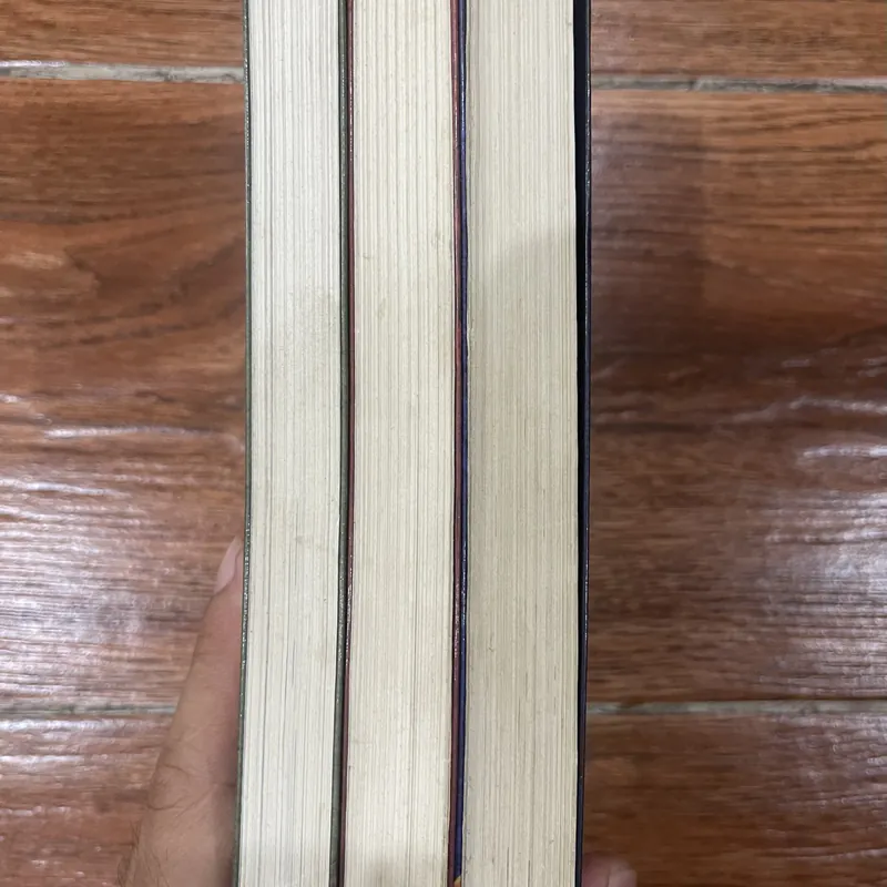 CẬU BÉ TRỘM MA THUẬT bộ 3 tập - SARAH PRINEAS (4) 596458