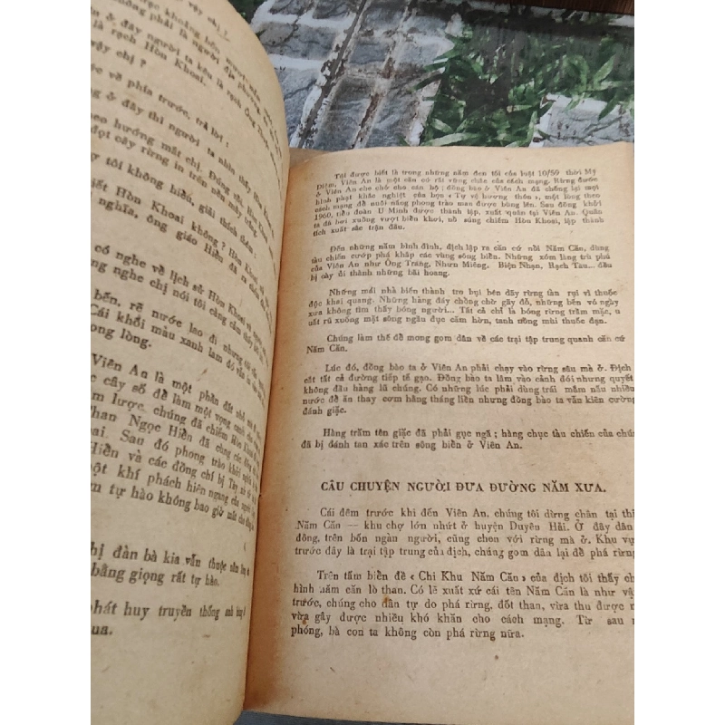 Mũi Cà Mau 1019283