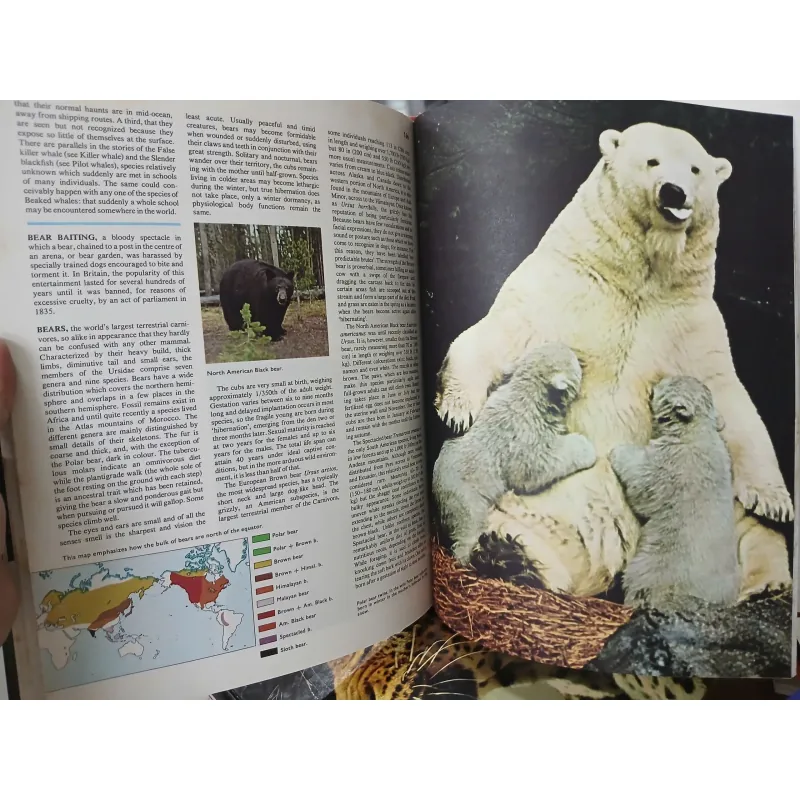 ENCYCLOPEDIA OF THE ANIMAL WORLD - BÁCH KHOA TOÀN THƯ VỀ THẾ GIỚI ĐỘNG VẬT (21 TẬP) 575435