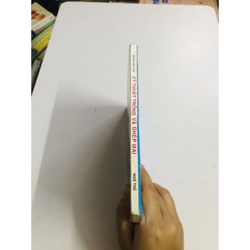 KỸ THUẬT TRỒNG VÀ GHÉP MAI 595067