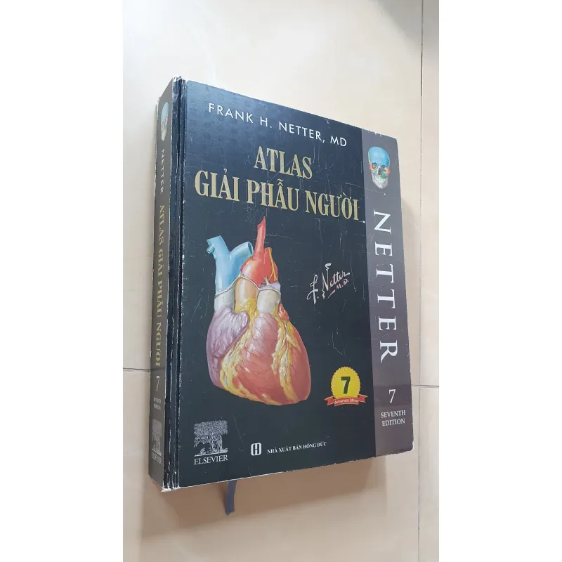 ATLAS 7 GIẢI PHẪU  1008119