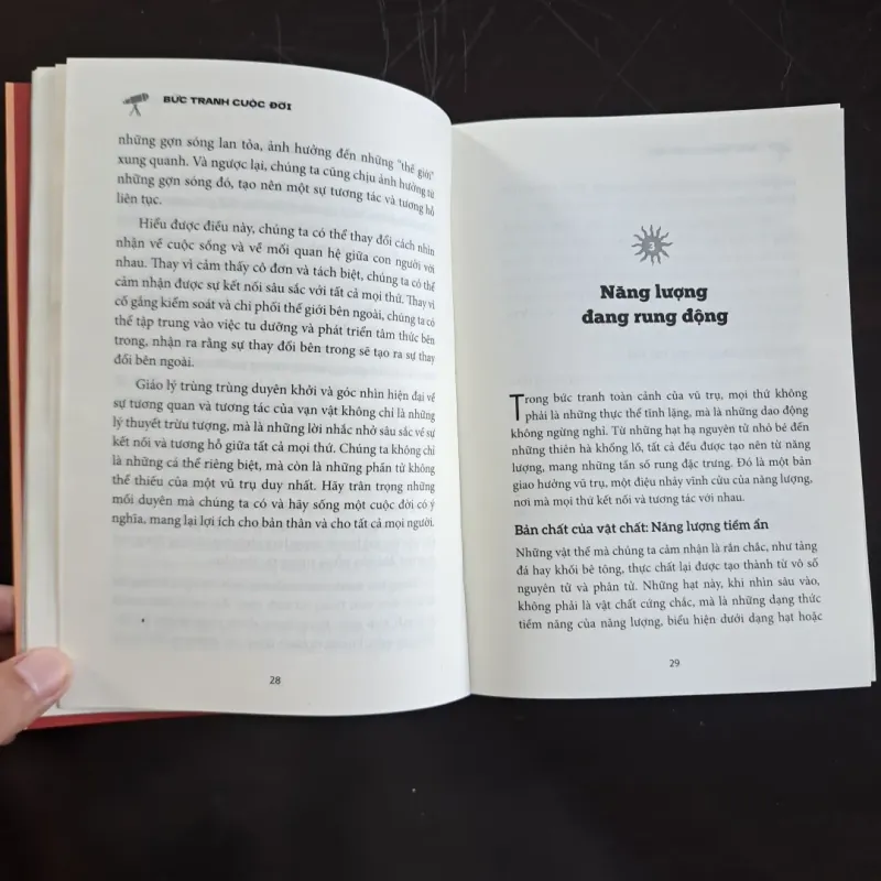 Bức Tranh Cuộc Đời 789253