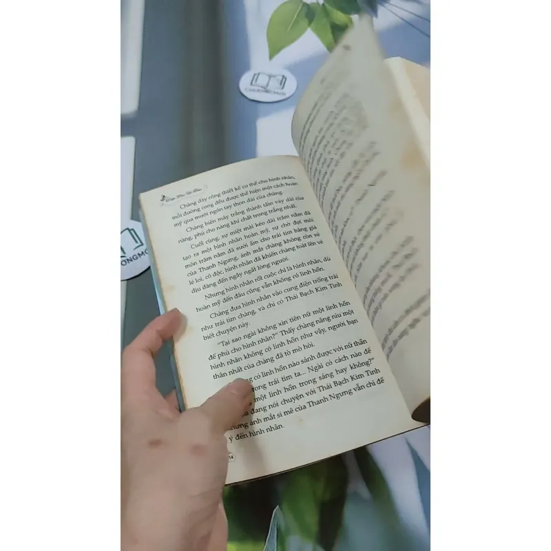 Ngàn Năm Chờ Đợi - Diệp Lạc Vô Tâm 744701