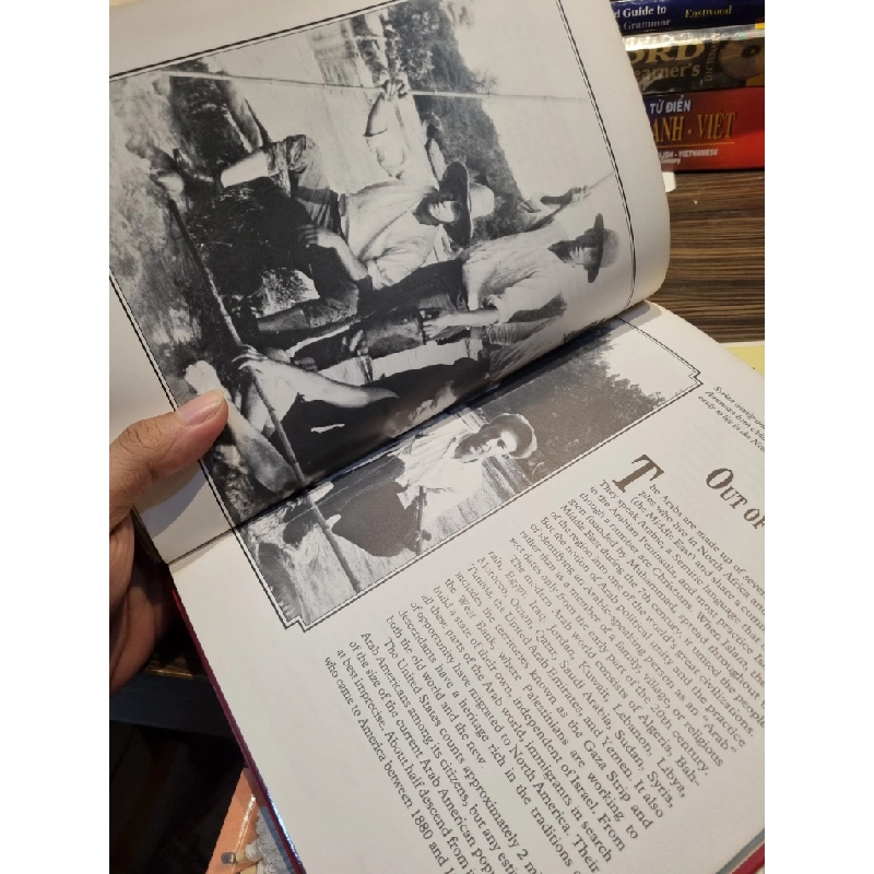 THE ARAB AMERICANS : The immigrant Experience - Alixa Naf 203158