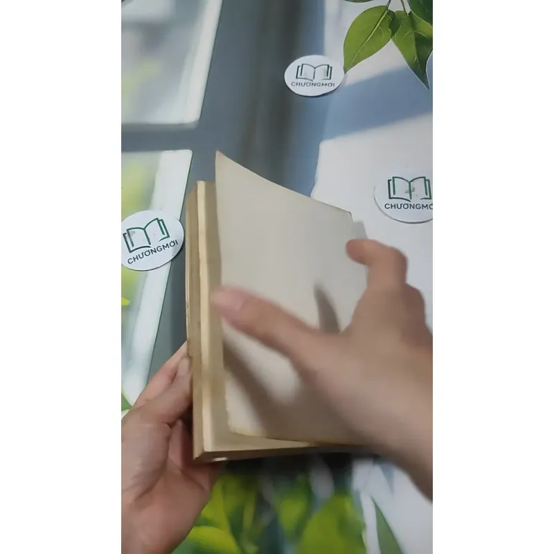 Nghệ Thuật Sống (1995) 727354