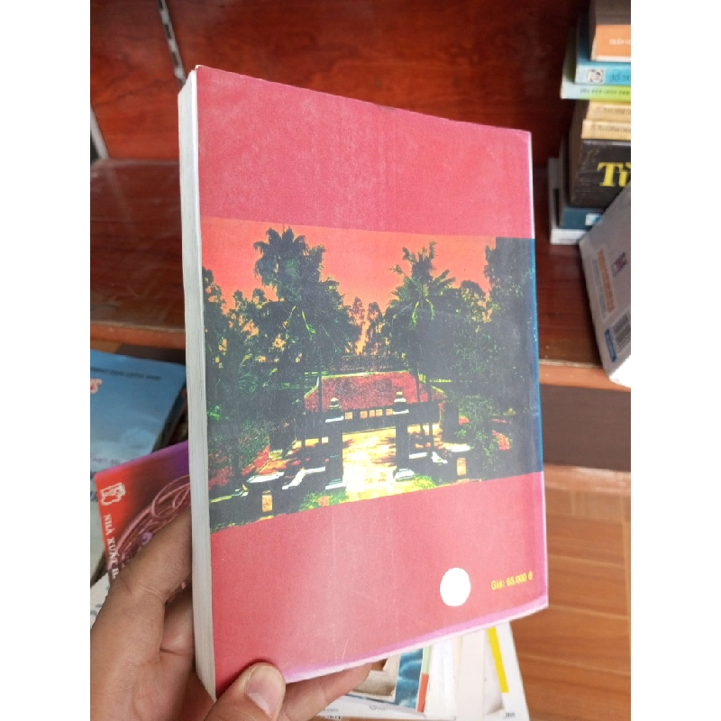 Lịch sử Đảng Bộ huyện Thanh Chương (1930-1975) 2005 Lịch sử Việt Nam VAVO-AK19 935762