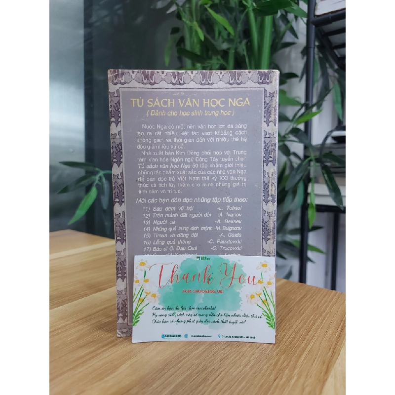 Tuyết trắng, tuyết trắng rơi 549377