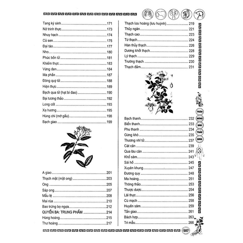 Thần Nông Bản Thảo Kinh – Đào Ẩn Tích

 89629