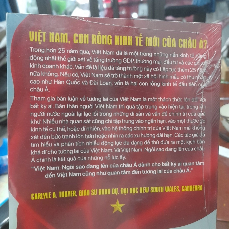 Việt Nam, ngôi sao đang lên của Châu Á 444871