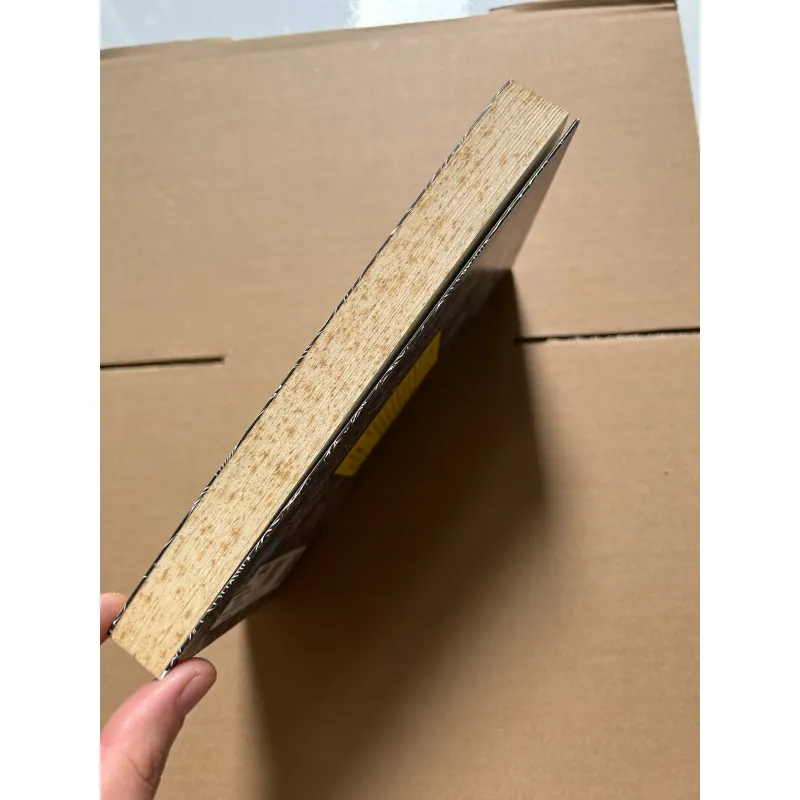 Những người không biết yêu xa - Nguyễn Đăng Vĩnh Trung 800182