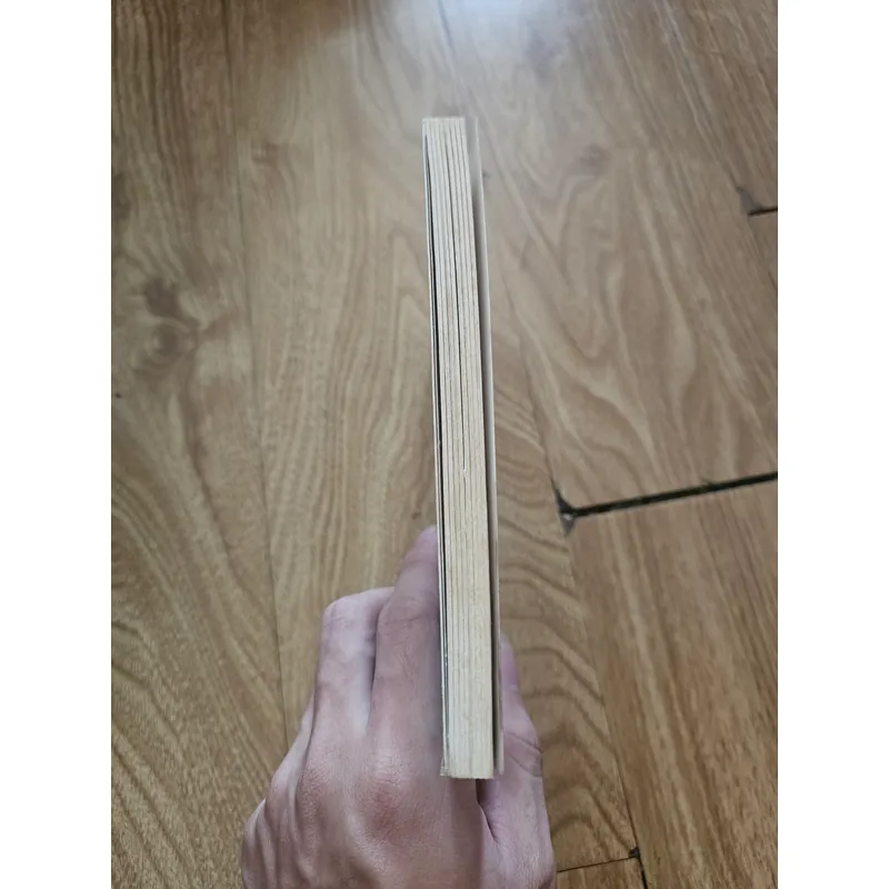 The Spiderwick Chronicles Diterlizzi & Black book 3
20k 673813