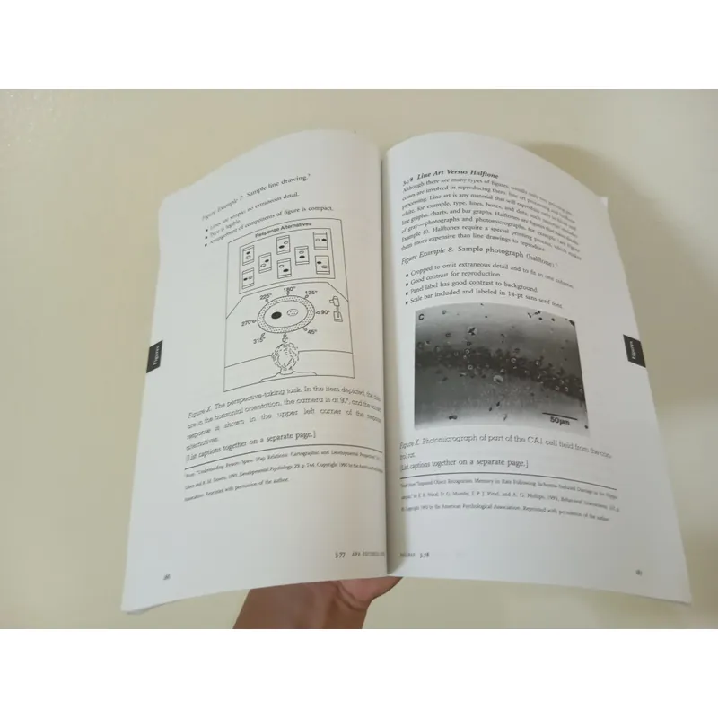 Publication manual of the american Psychology association  596214