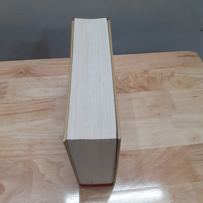 Việt Nam Phật giáo sử luận 522134