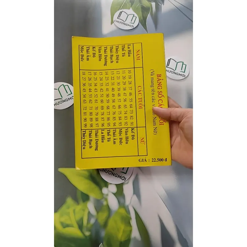 Cao Ly Đầu Hình 775958