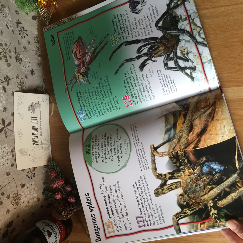 Sách tranh tiếng anh Wild About Fierce Creatures, Used, Bìa cứng 476862
