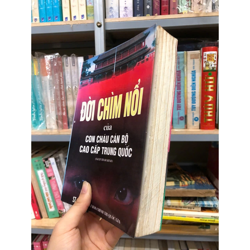 ĐỜI CHÌM NỔI CỦA CON CHÁU CÁN BỘ CAO CẤP TRUNG QUỐC - THẠCH TƯỜNG 455265