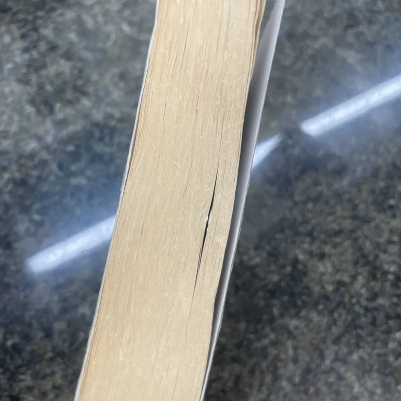 Maybe you should talk to someone Lori Gottlieb 734142