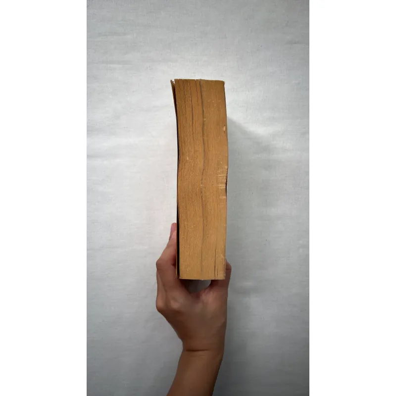 America Inside Out - David Schoenbrun 1028890