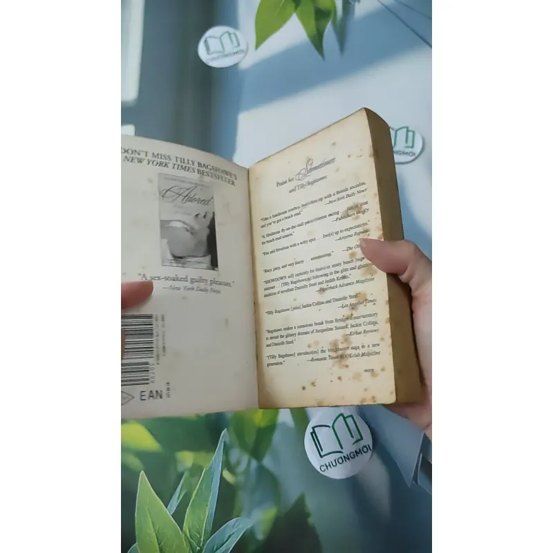 Showdown - Tilly Bagshawe 1027176