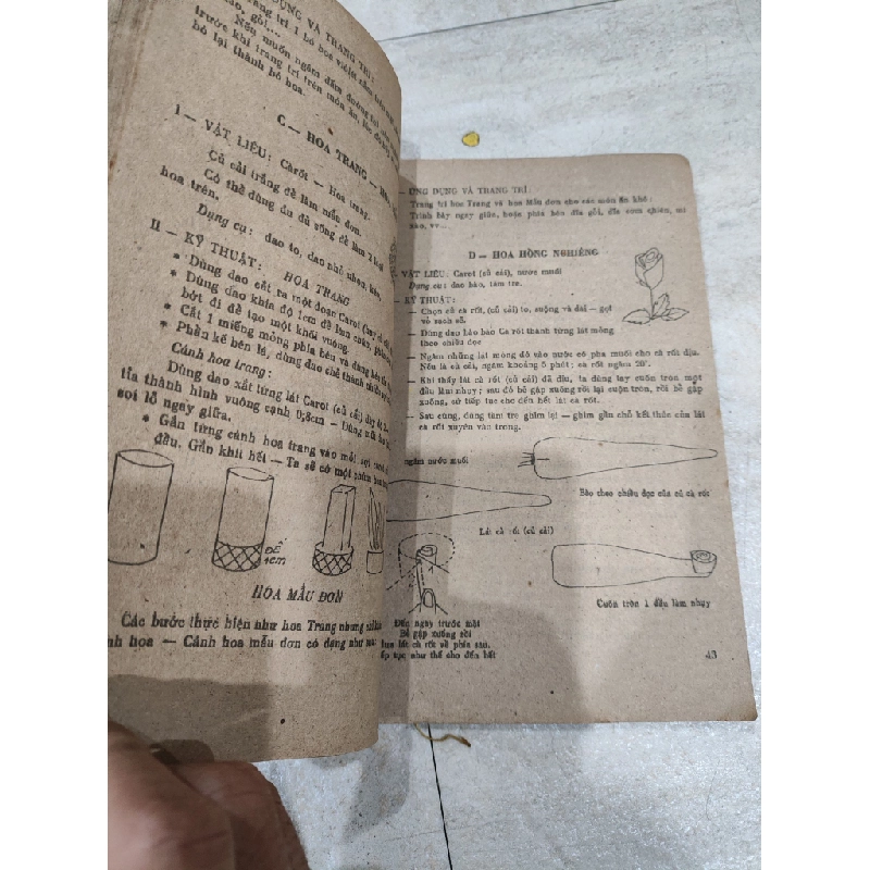 Kỹ Thuật Trang Trí Hoa Quả & Tỉa Rau Củ - Nguyễn Thị Thanh Thủy, Trần Thanh Tâm, Lê Minh Bảo Toàn 505479
