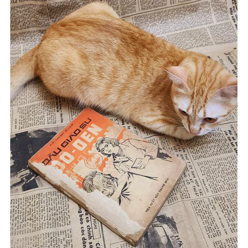 Đầu giáo sư Dowyel (VH kinh điển Nga) 711903