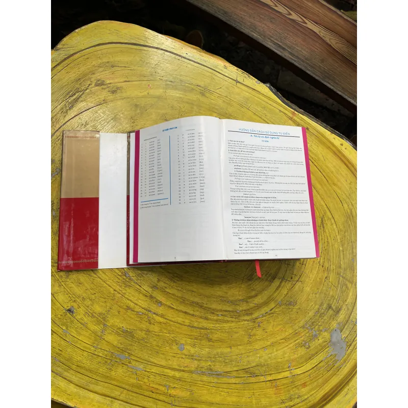 TỪ ĐIỂN ANH - VIỆT - VIỆT ANH- BAN BIÊN SOẠN CHUYÊN TỪ ĐIỂN NEW ERA 603684