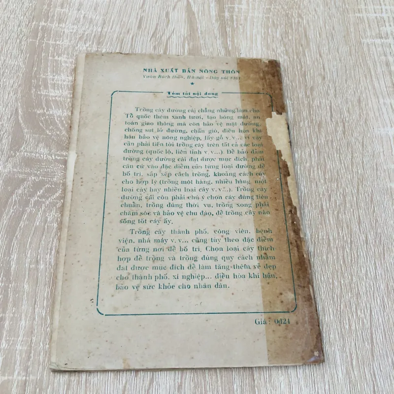 KỸ THUẬT TRỒNG CÂY ĐƯỜNG CÁI THÀNH PHỐ, NHÀ MÁY 956954