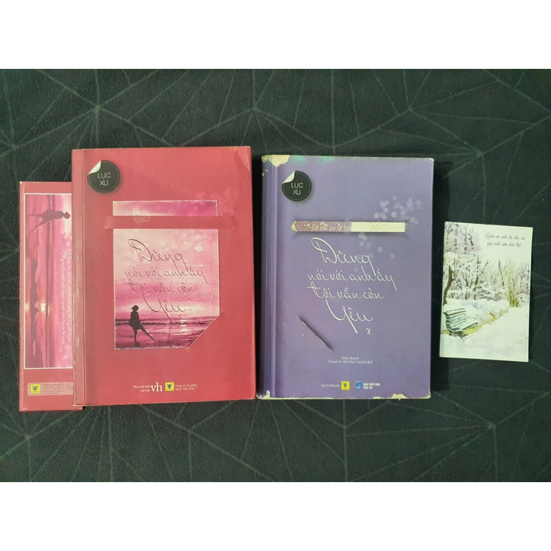 Combo "Đừng nói với anh ấy tôi vẫn còn yêu" - Lục Xu 475083