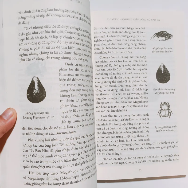 Côn Trùng Ký Tập 6 - Jean-Henri Fabre 932334