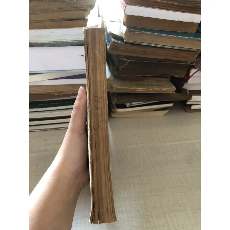 Thủy triều vùng biển Việt Nam 972150