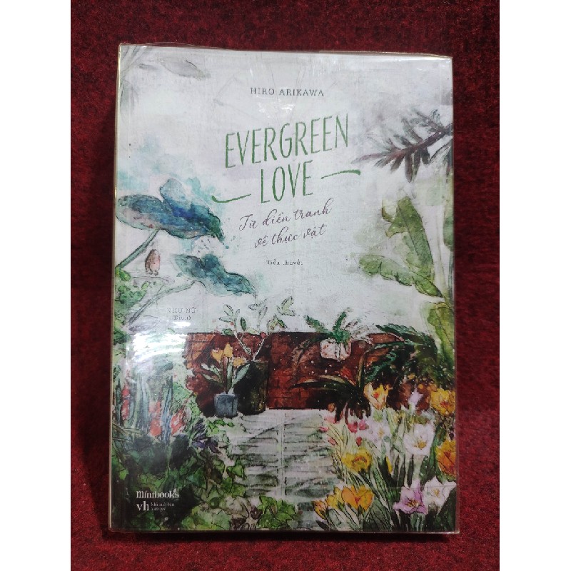 Evergreen Love từ điển tranh về thực vật mớ 90% 40709