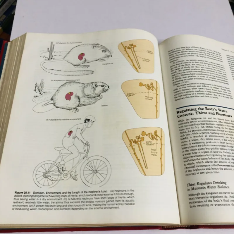 THE NATURE OF LIFE – John H. Postlethwait & Janet L. Hopson 780372