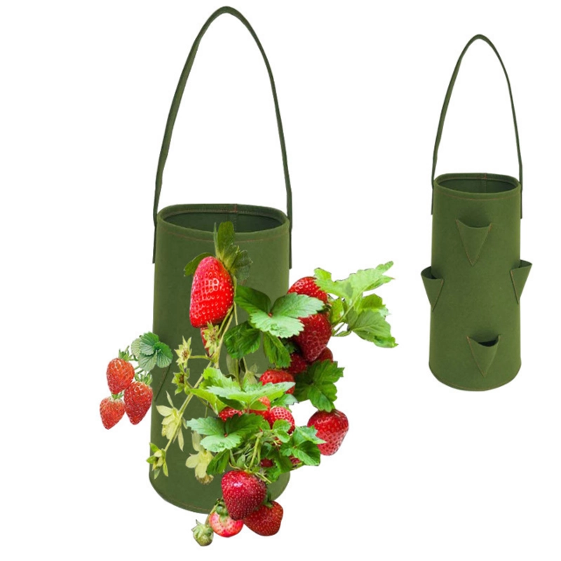 Túi Trồng Cây Bằng Vải 10 Gallon – Trồng Dâu, Cà Chua, Hoa, Rau Sạch – Có Quai 474076