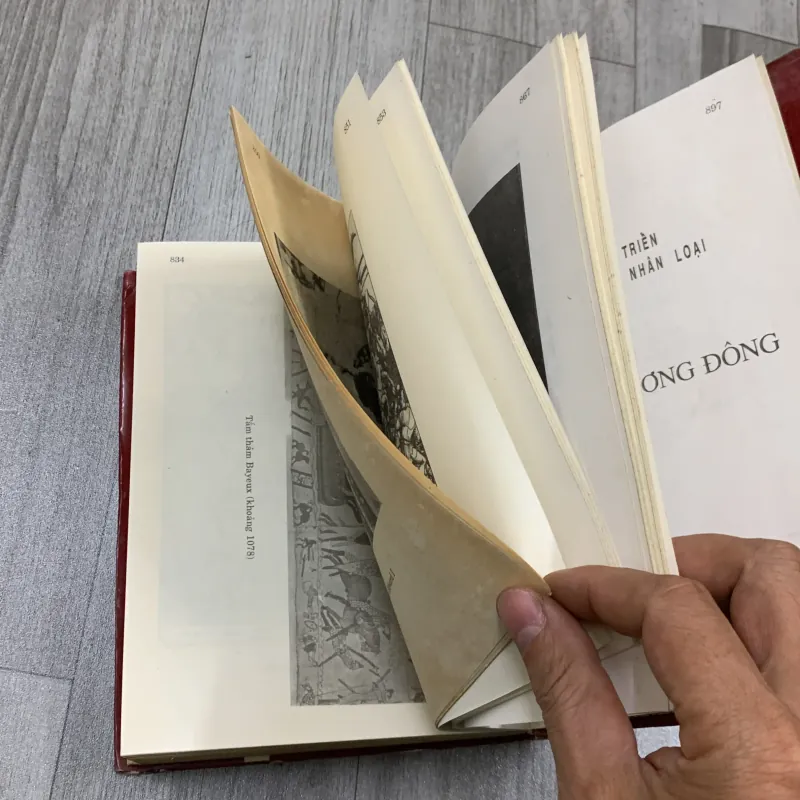 Văn minh phương tây, lịch sử phát triển văn hoá văn minh nhân loại. 4b1 782219