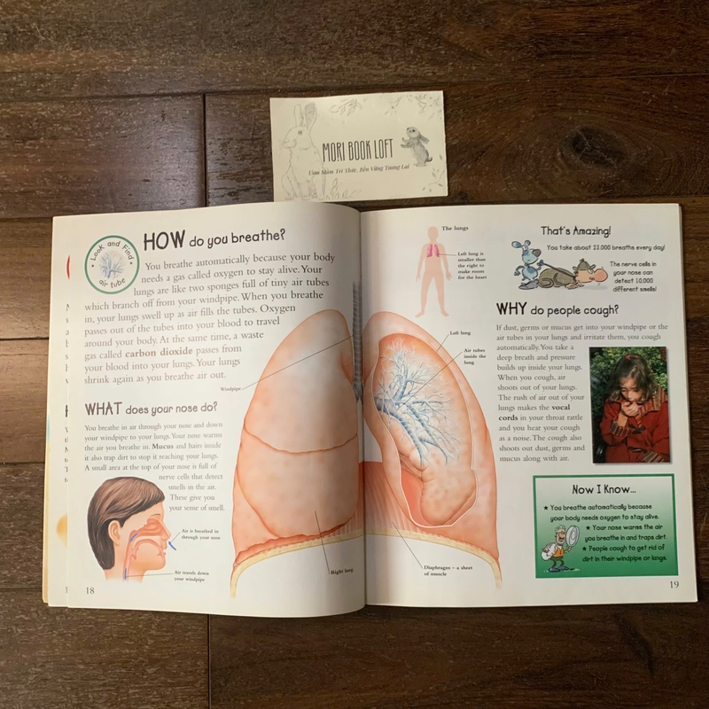 Sách ngoại văn Question Time: Human Body, Used 409493