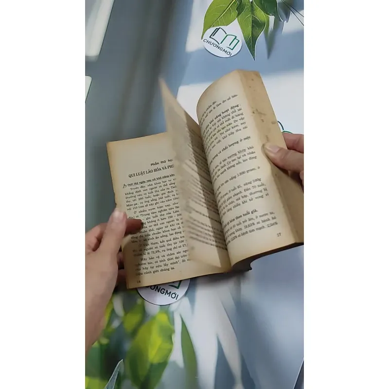 [XƯA] 6 Bí Quyết Dưỡng Sinh Người Có Tuổi (1994) 776147