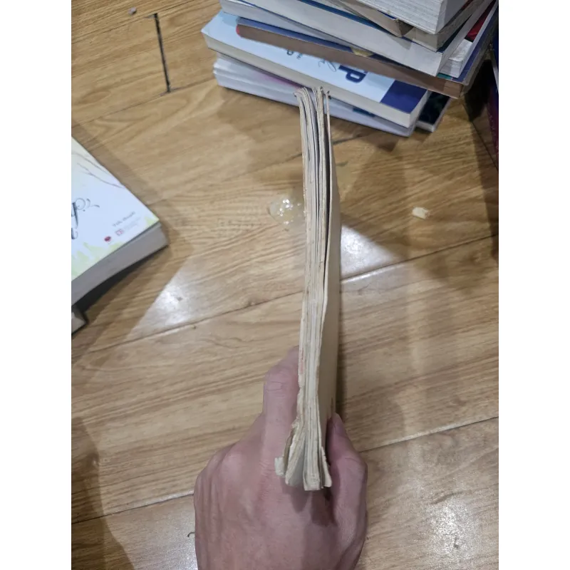 Ba vấn đề trọng đại trong đời tu của tôi (rách nhẹ ở bìa, bìa phai màu nặng)
20k 780186