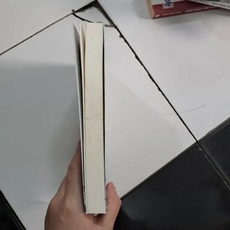 Người tình của tiểu thư Sophia 1020475